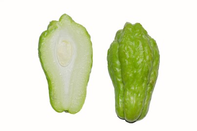 Chayote_cross_section_BNC